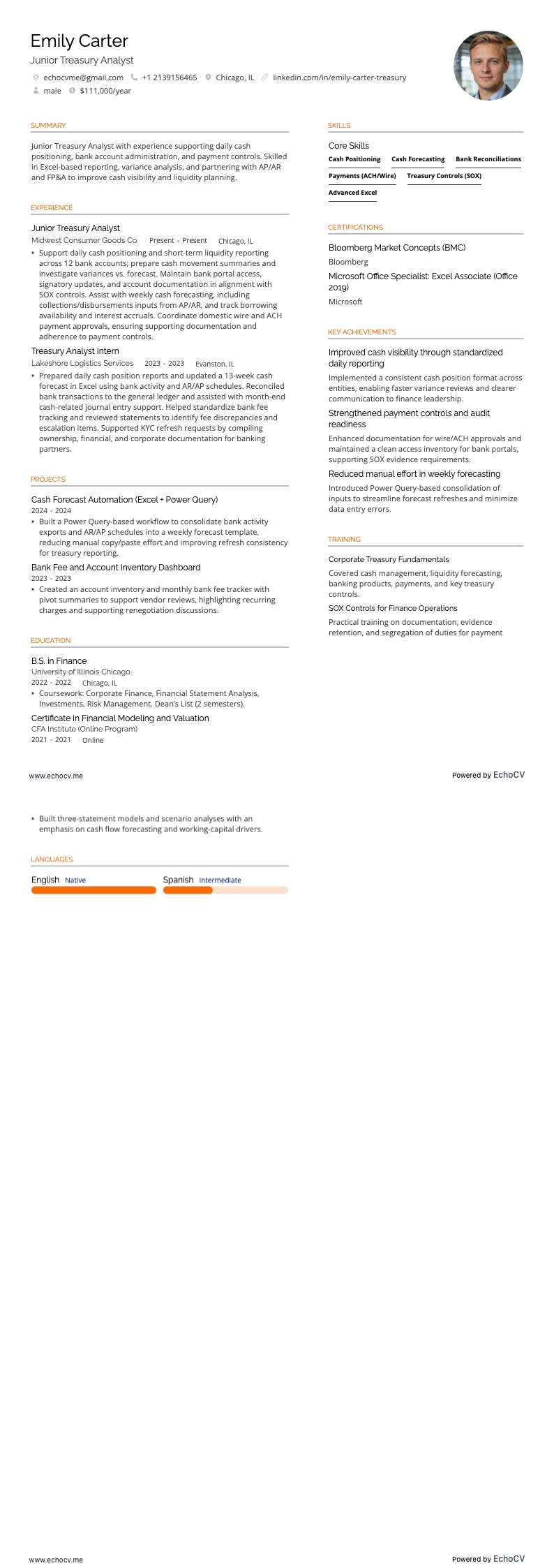 Analista junior di tesoreria example resume