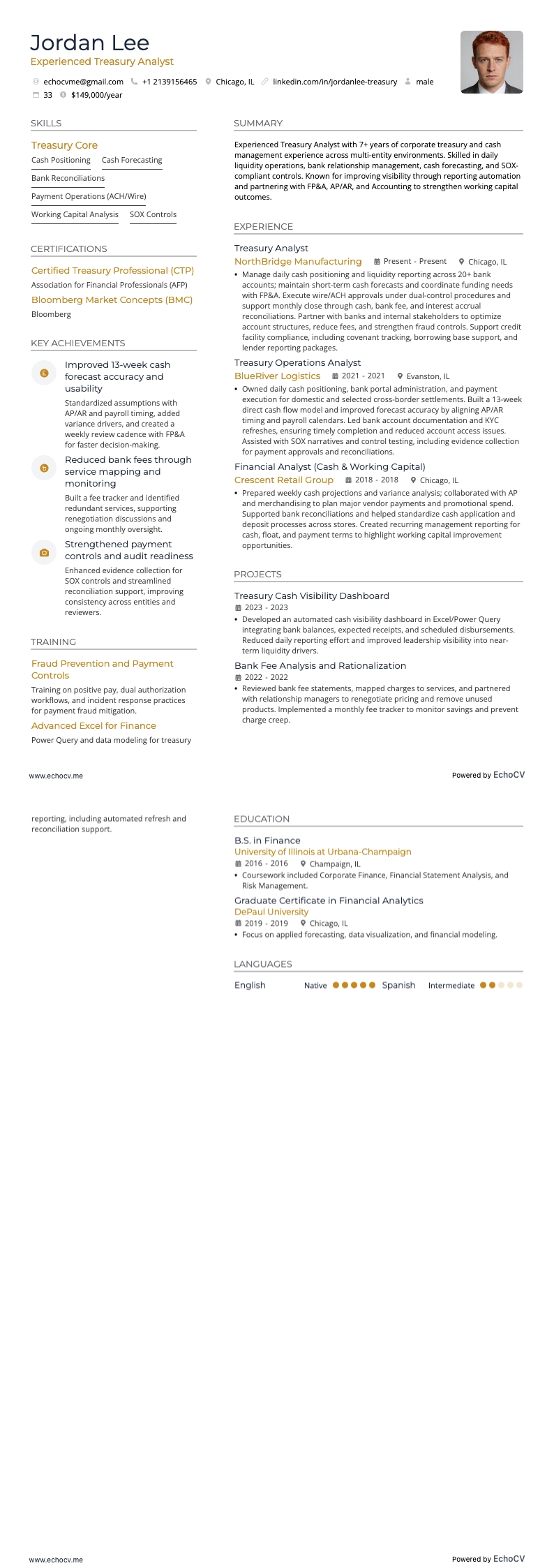 Analista di tesoreria esperto example resume