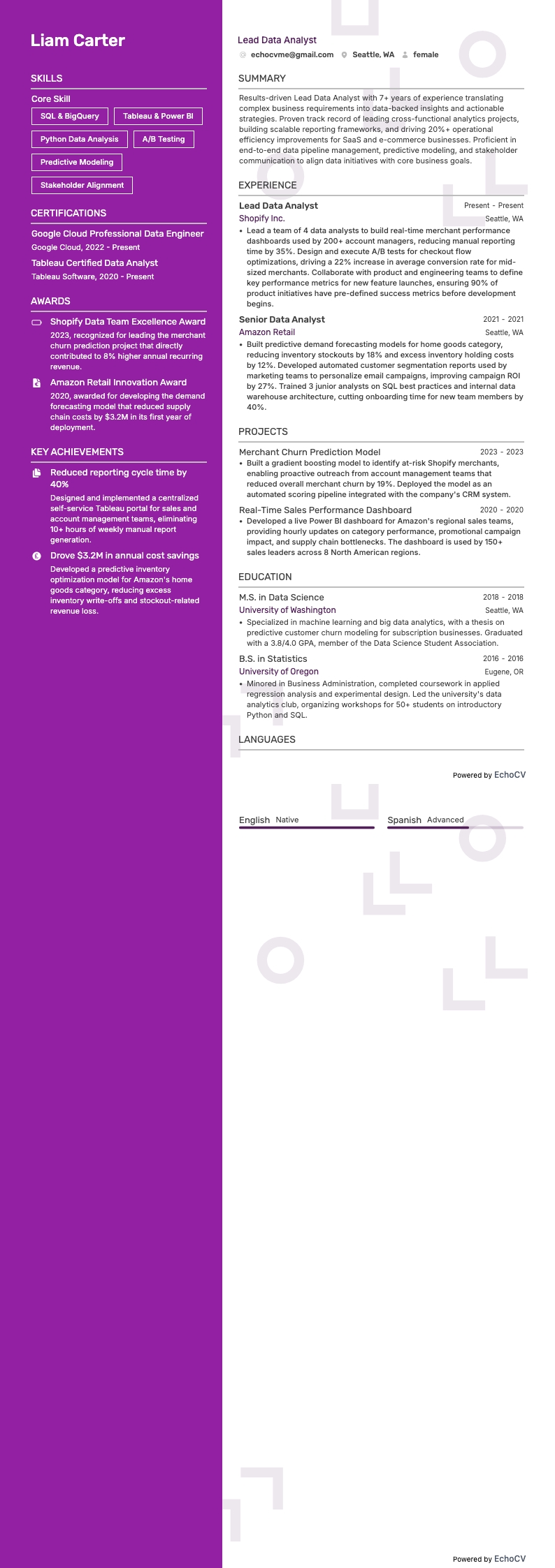 Lead data-analist example resume