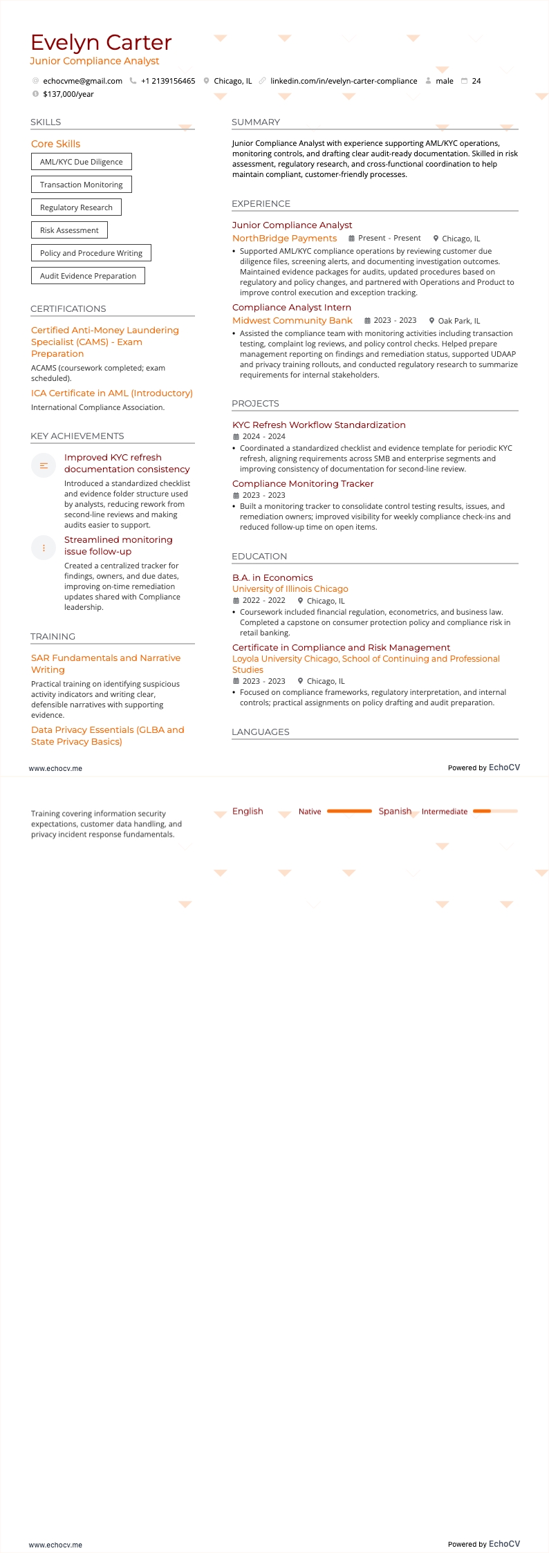 Junior Compliance Analyst example resume