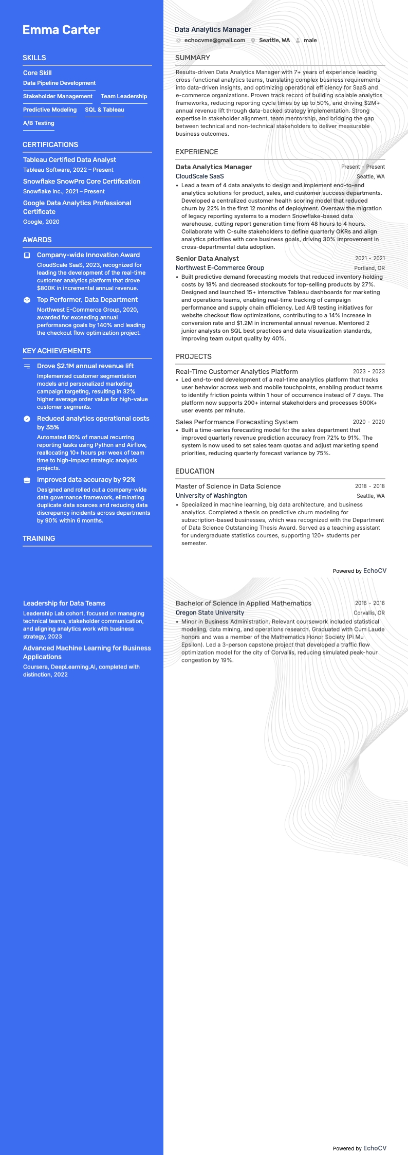 Manager data-analyse example resume