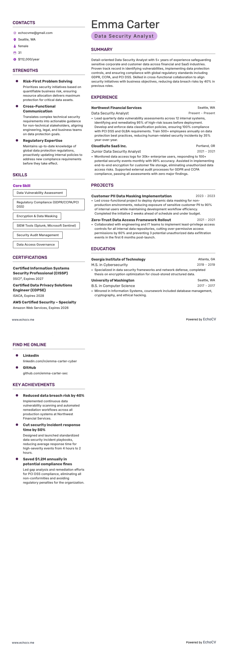 Data security-analist example resume