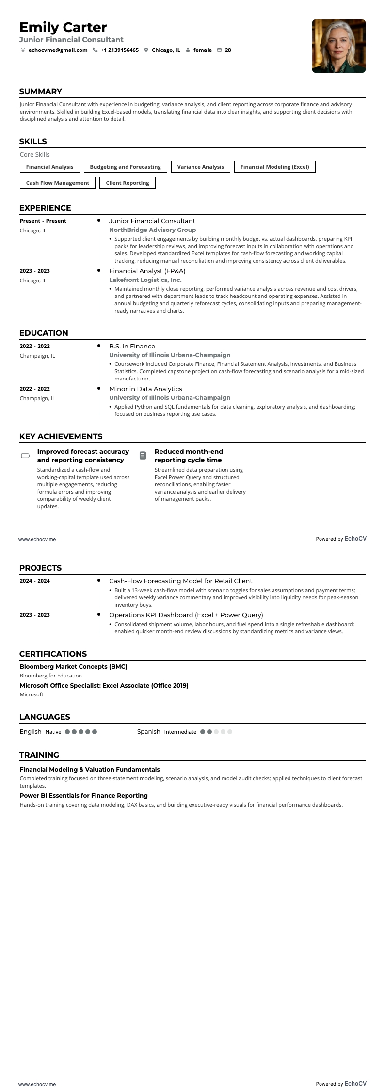 Junior Financial Consultant example resume