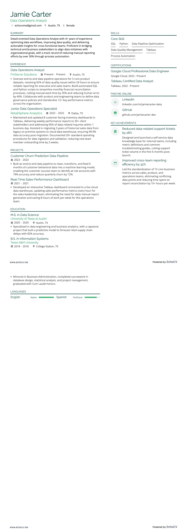 Analist gegevensoperaties example resume