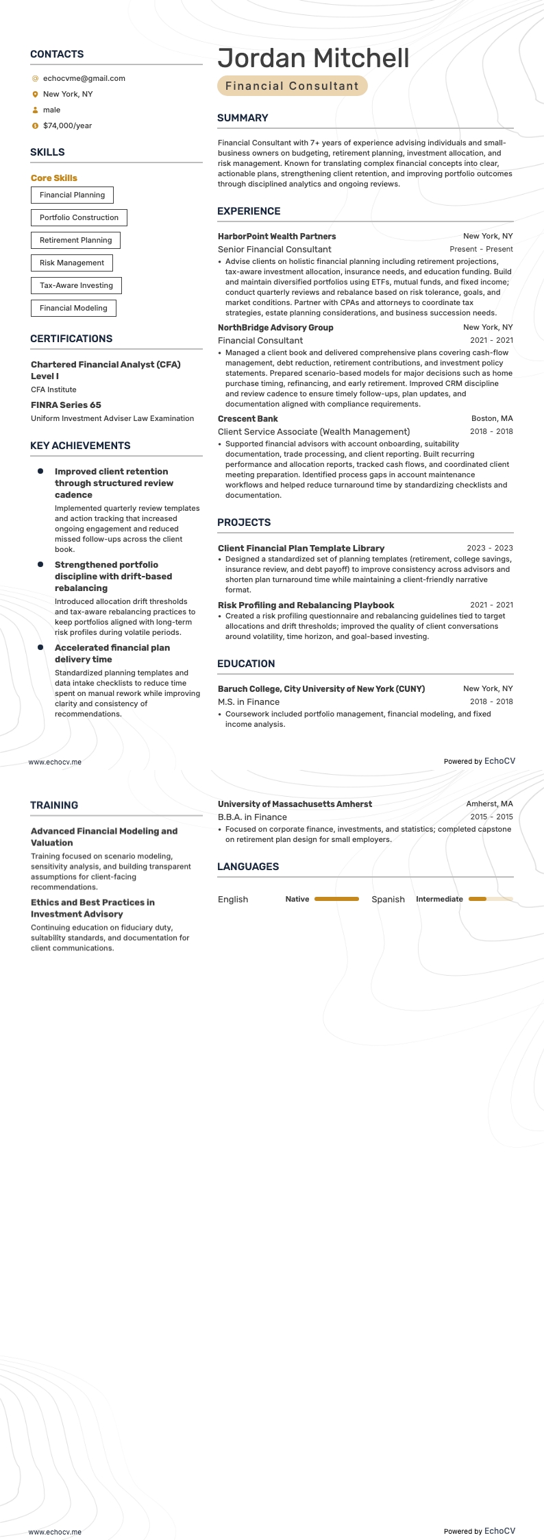 Financial Consultant example resume
