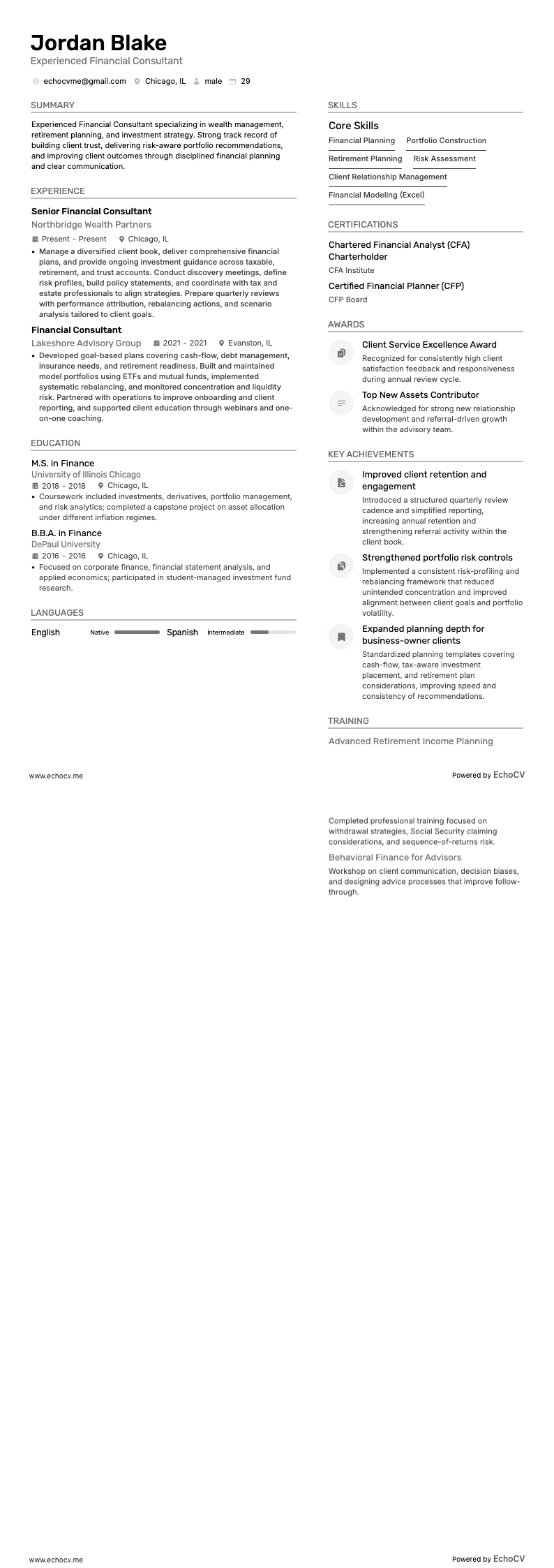 Experienced Financial Consultant full preview