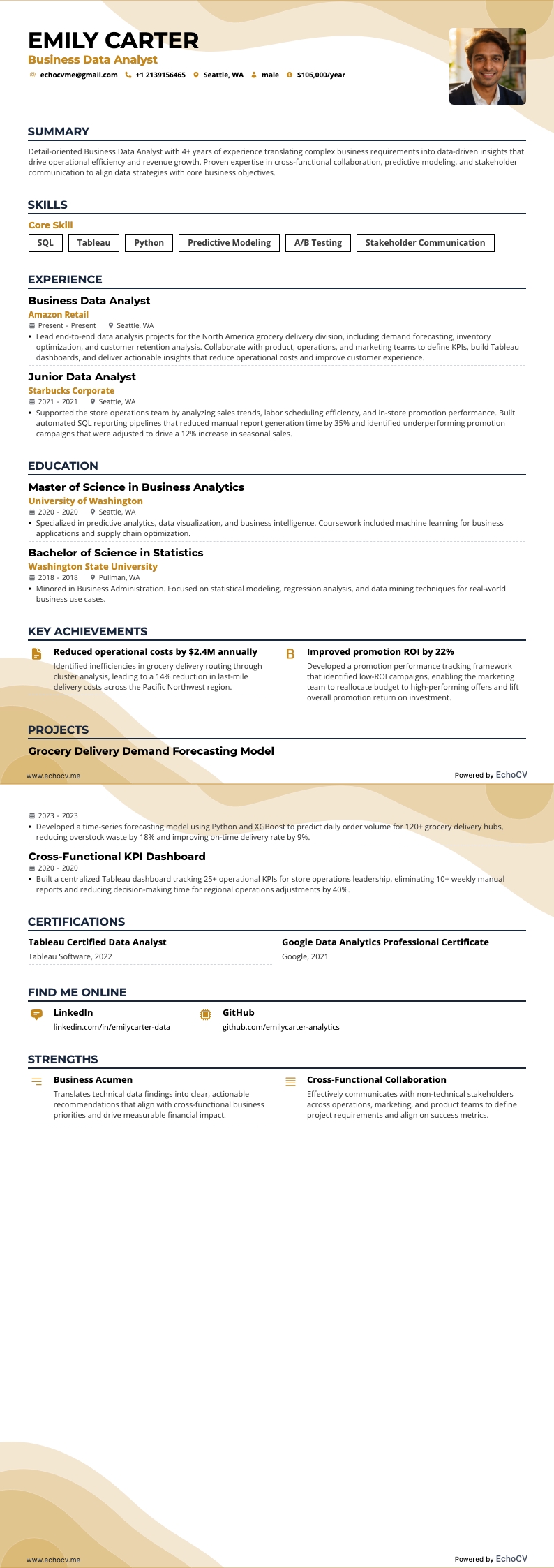 Business data-analist example resume