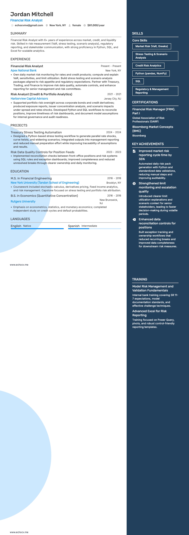 Financieel risicoanalist resume example