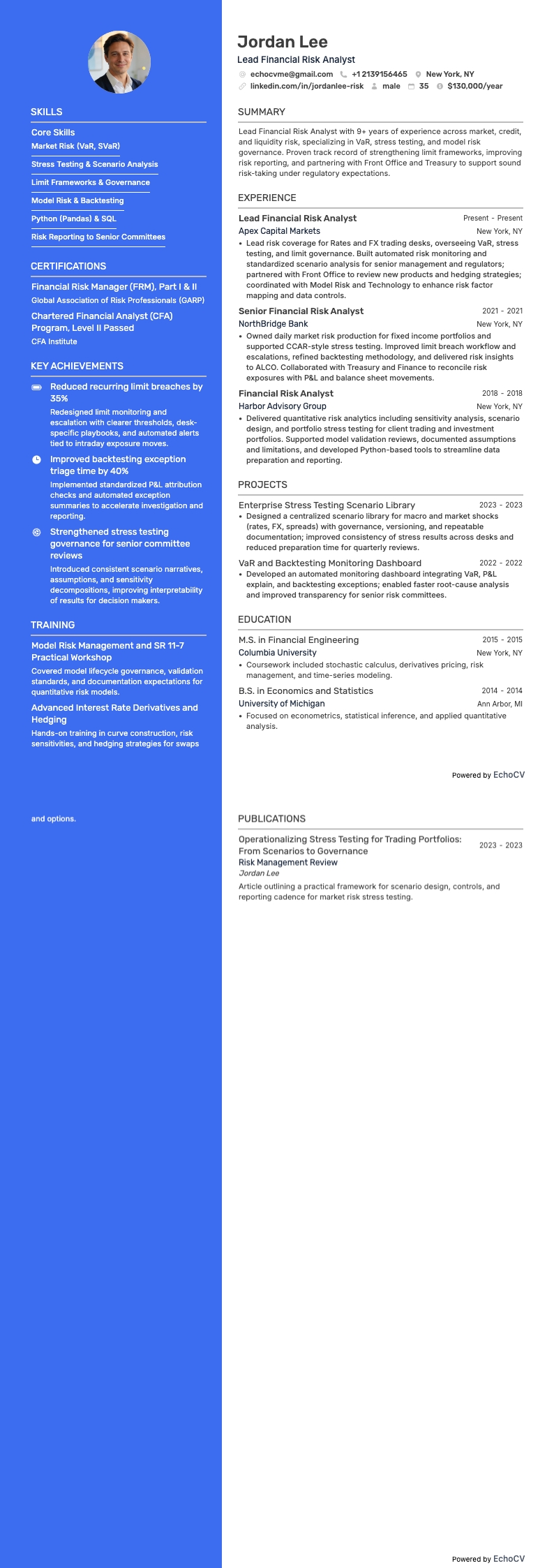 Lead financieel risicoanalist volledige voorbeeldweergave