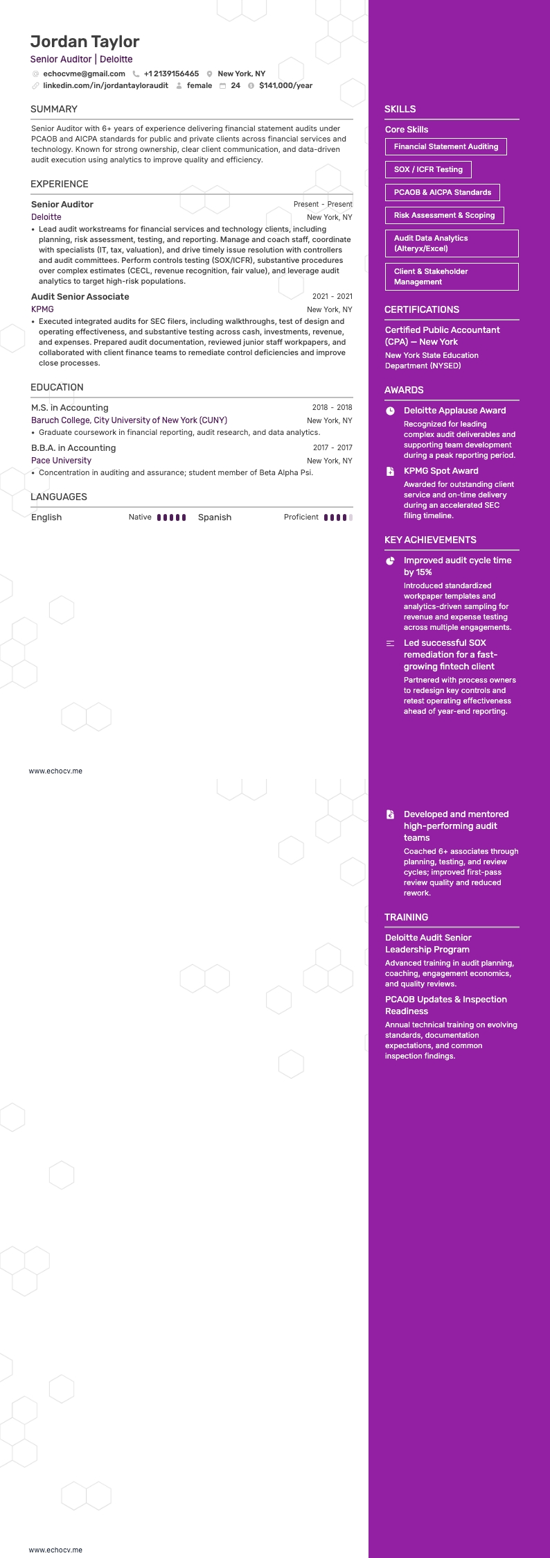 Deloitte Senior Auditor example resume