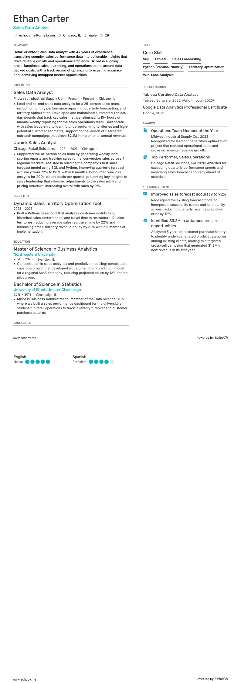 Verkoopdata-analist example resume