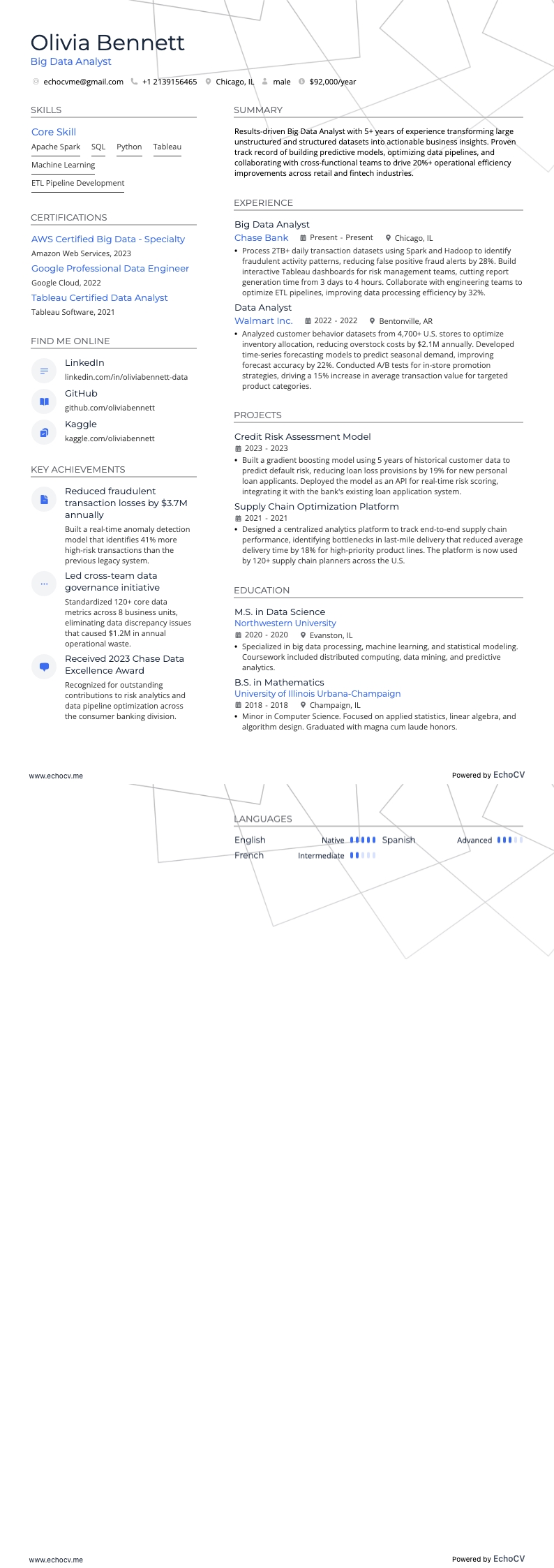 Big Data-analist example resume