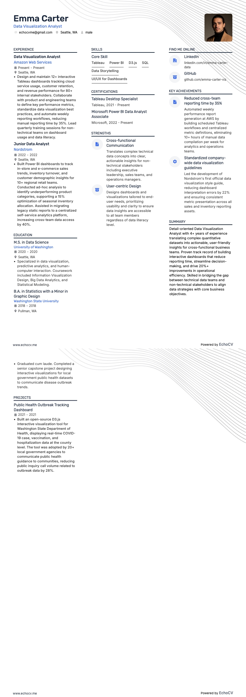 Data-visualisatieanalist example resume