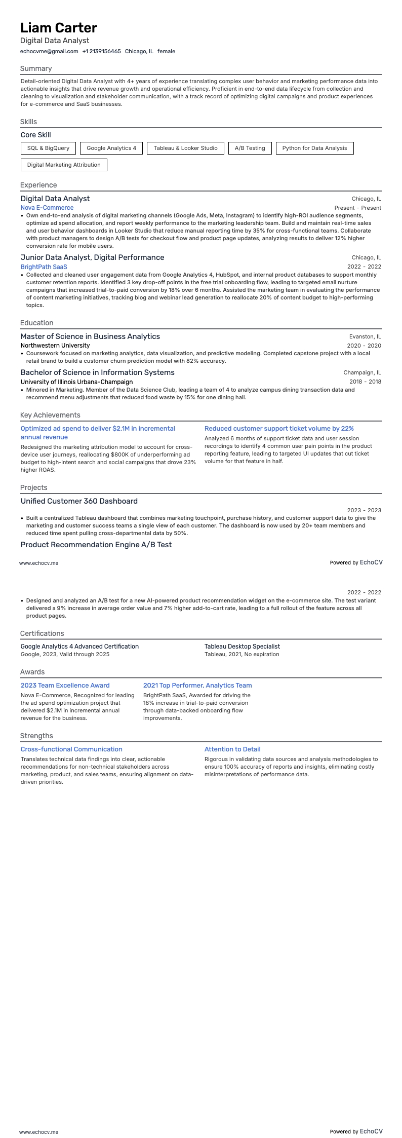 Digitaal data-analist example resume