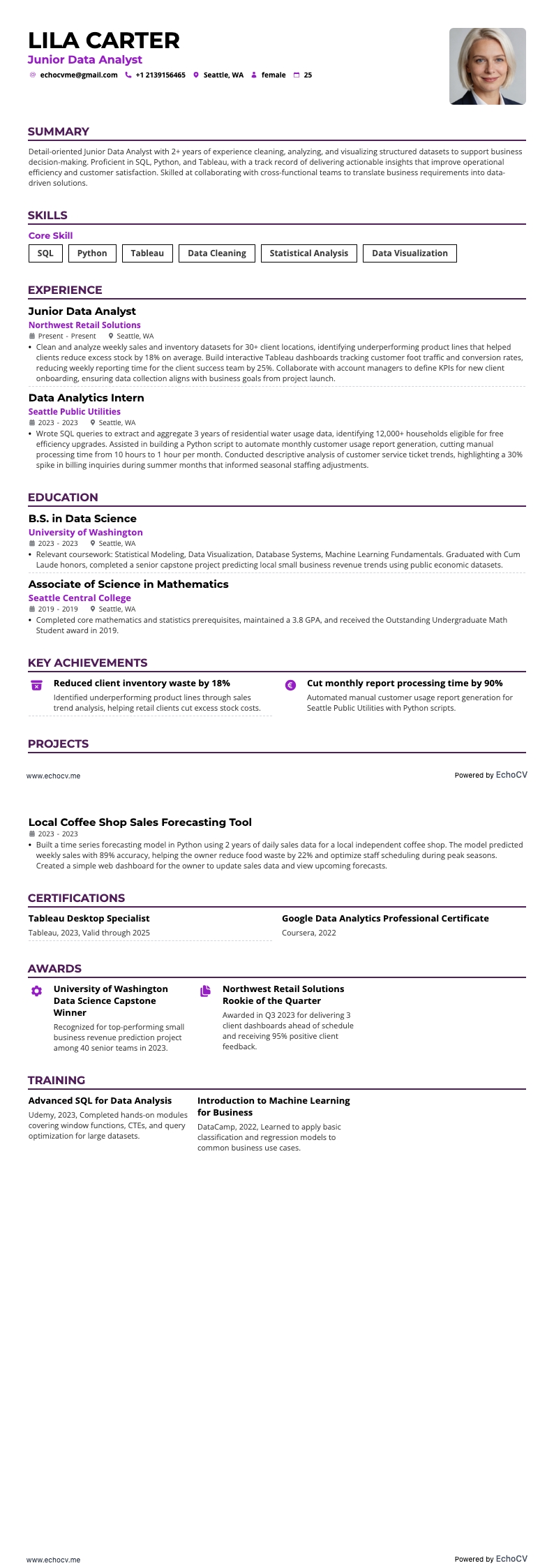 数据分析师 resume example