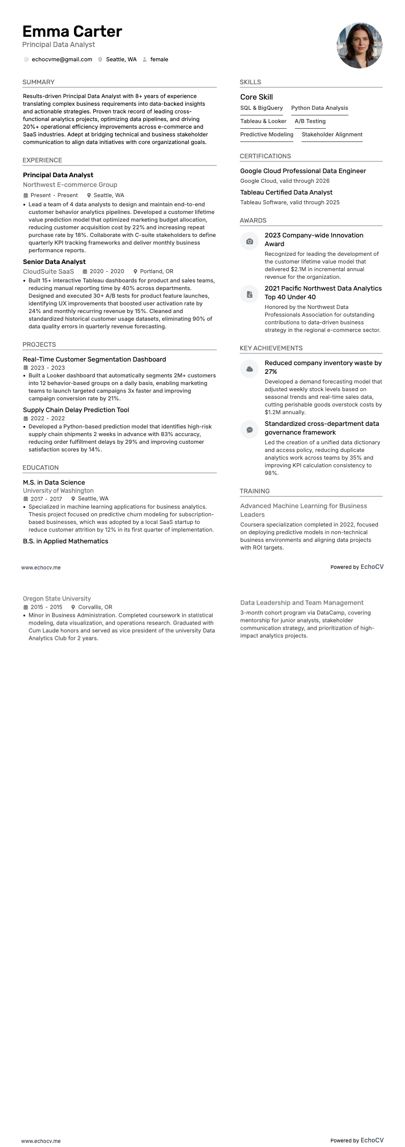 Lead data-analist volledige voorbeeldweergave