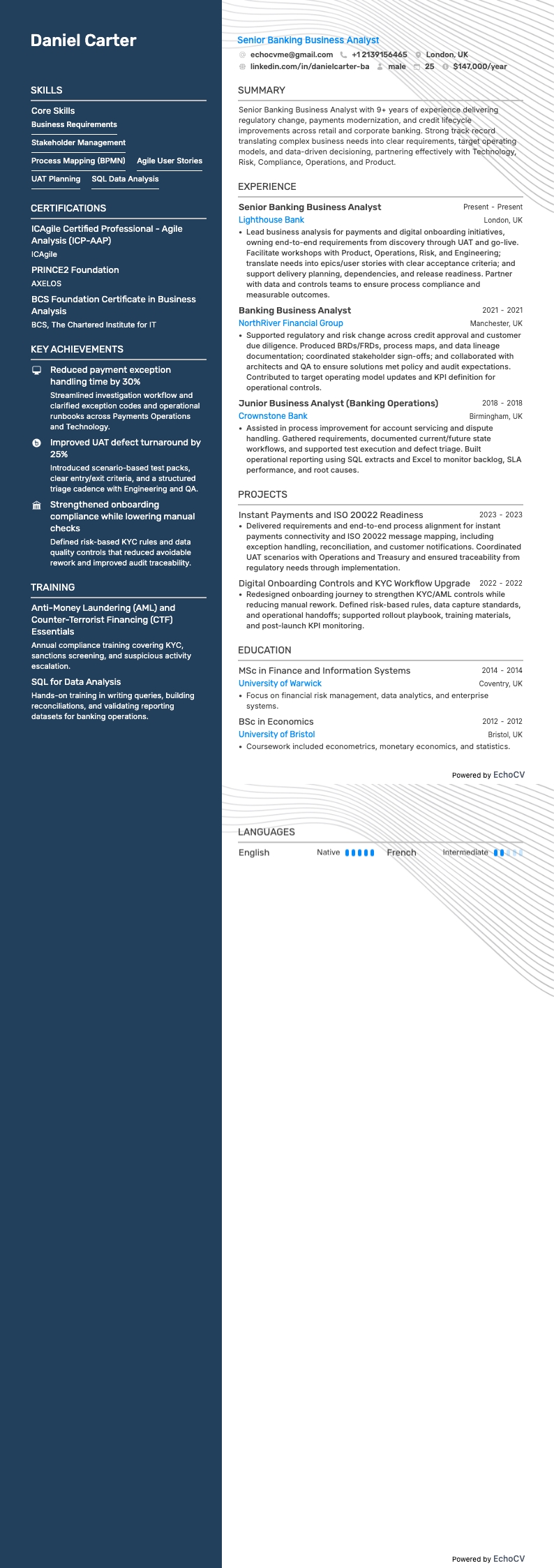 Senior Banking Business Analyst full preview