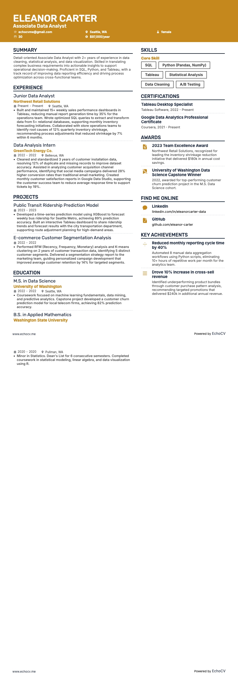 初級資料分析師 example resume