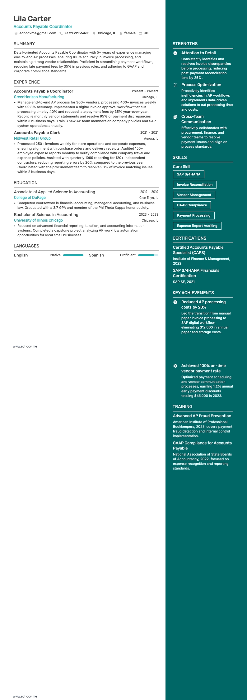 Coordenador de contas a pagar example resume