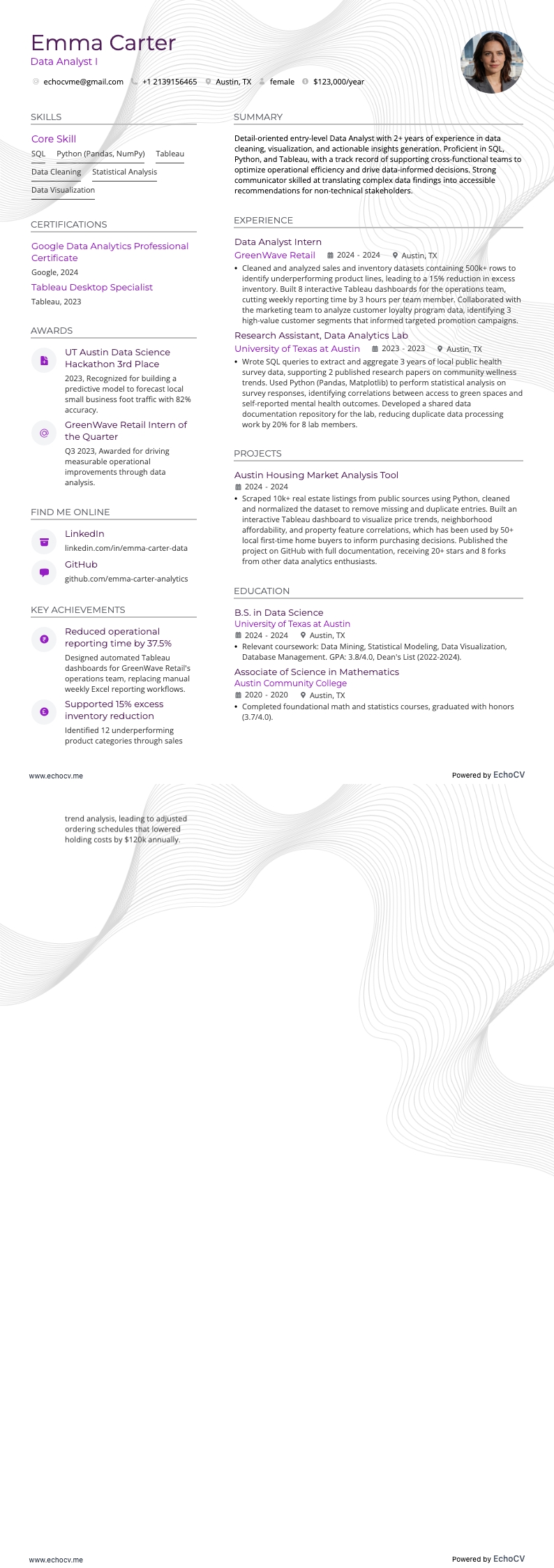 資料分析師 I example resume