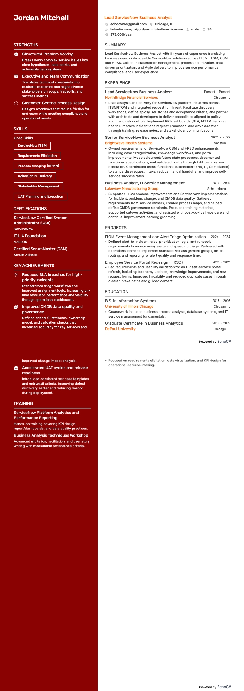 Vista previa completa de Analista de negocio principal de ServiceNow