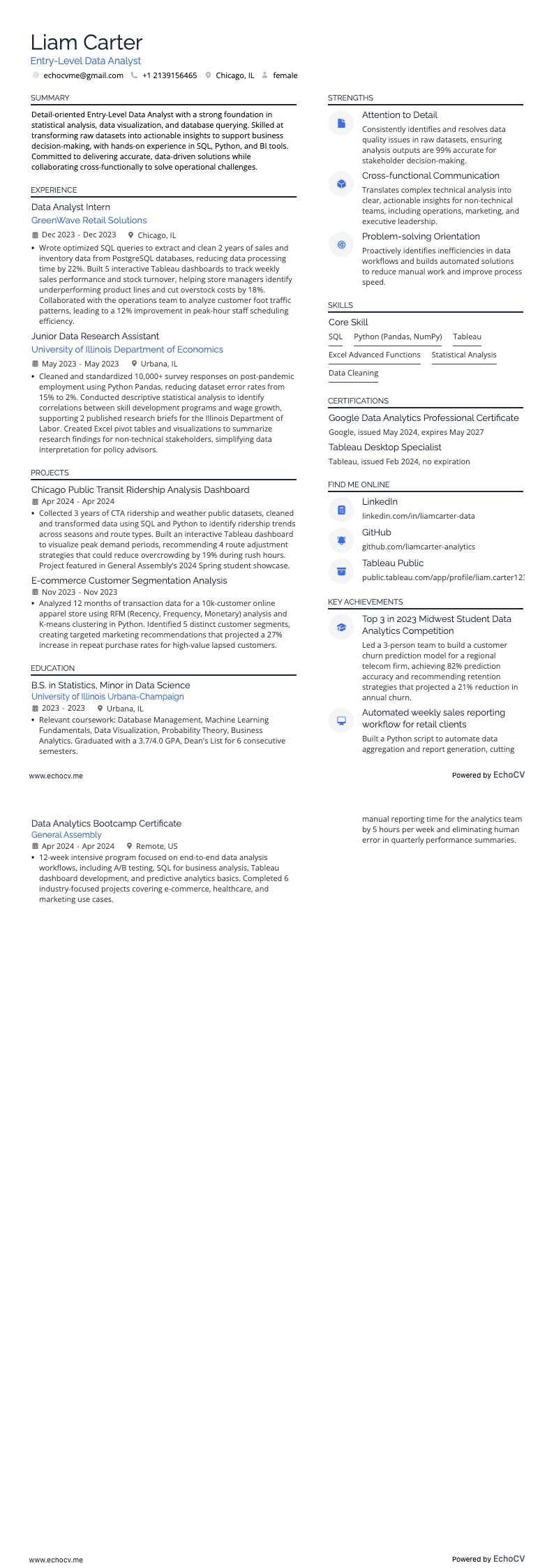 初階資料分析師 example resume