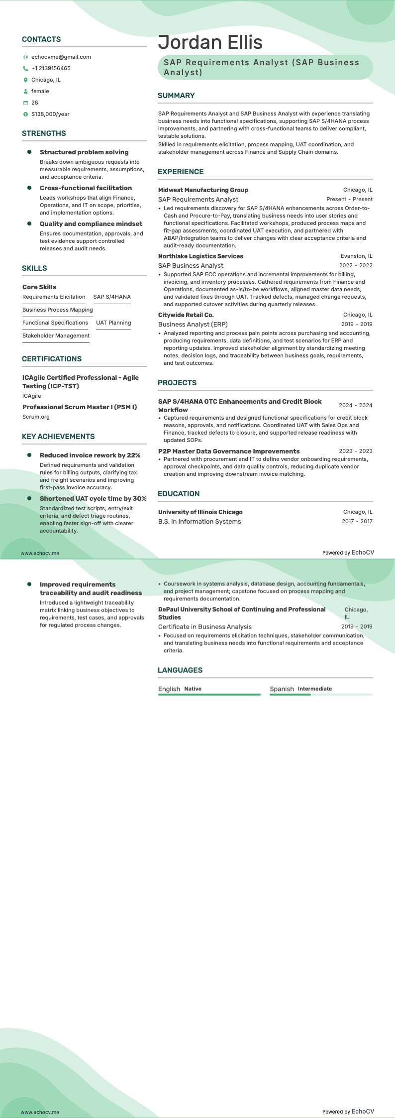 SAP Requirements Analyst example resume