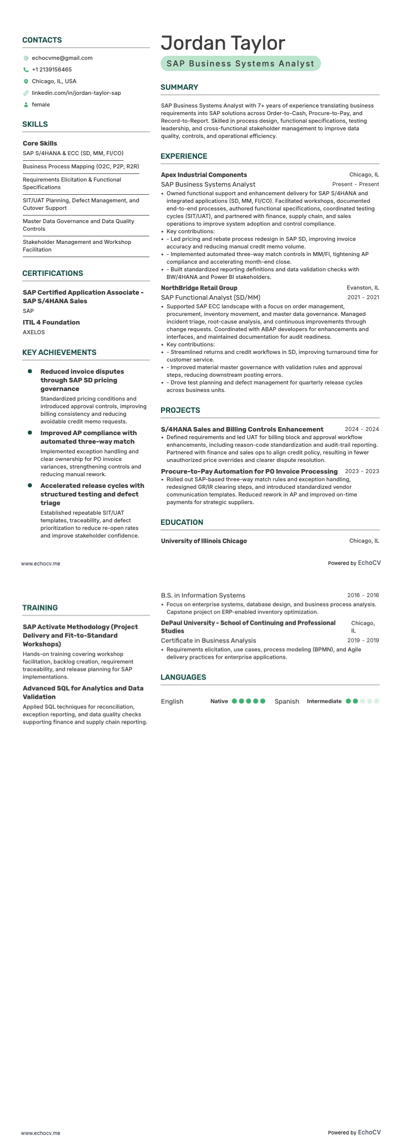 SAP Business Systems Analyst example resume
