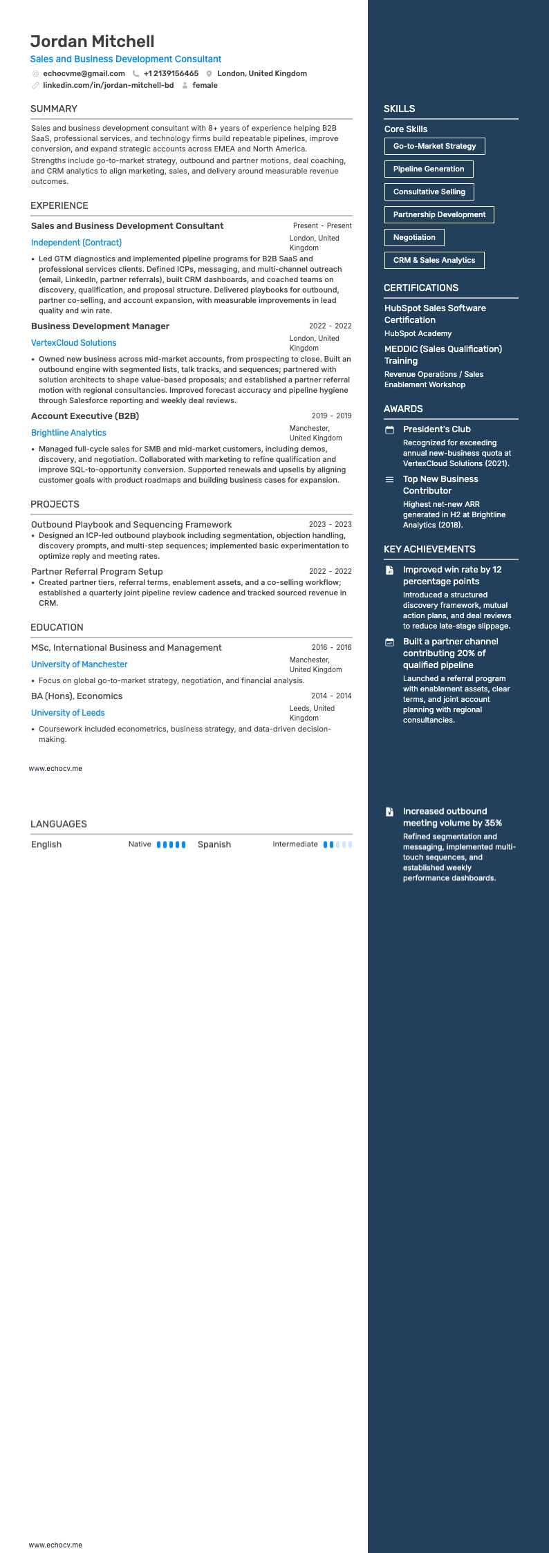 Sales and Business Development Consultant example resume