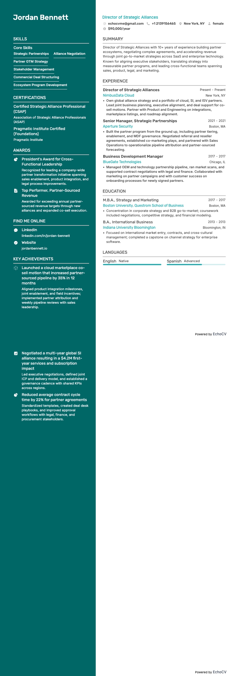 業務發展總監 resume example