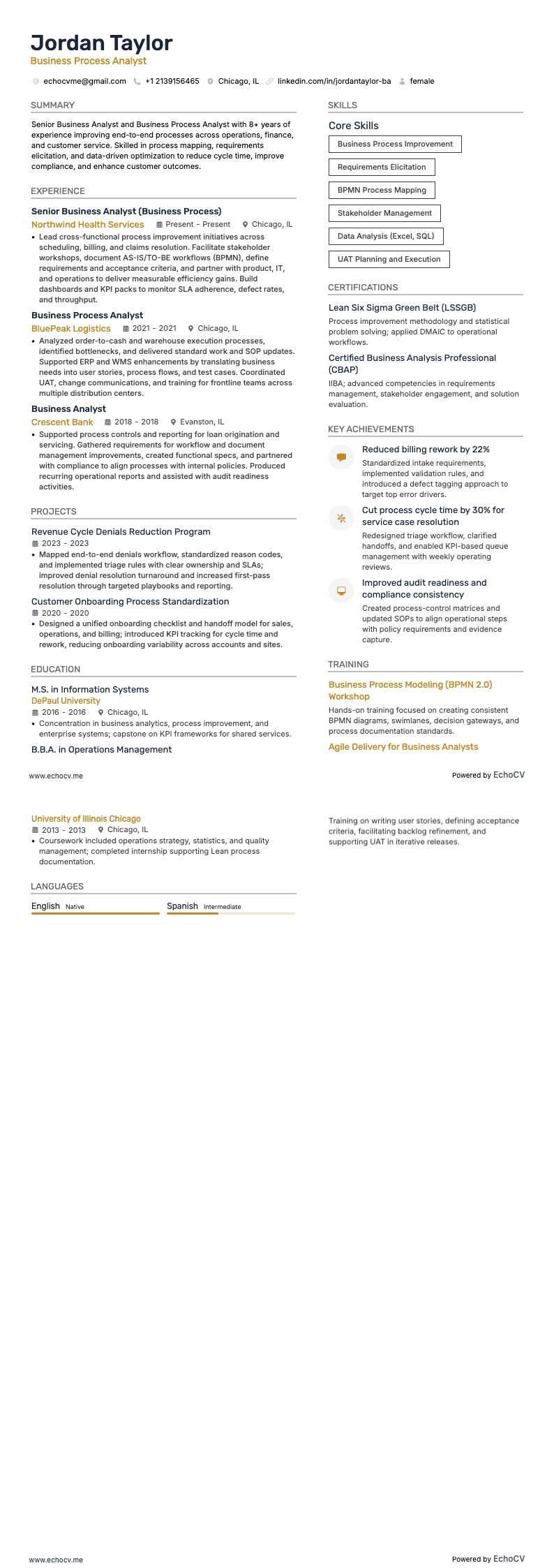 비즈니스 프로세스 분석가 example resume