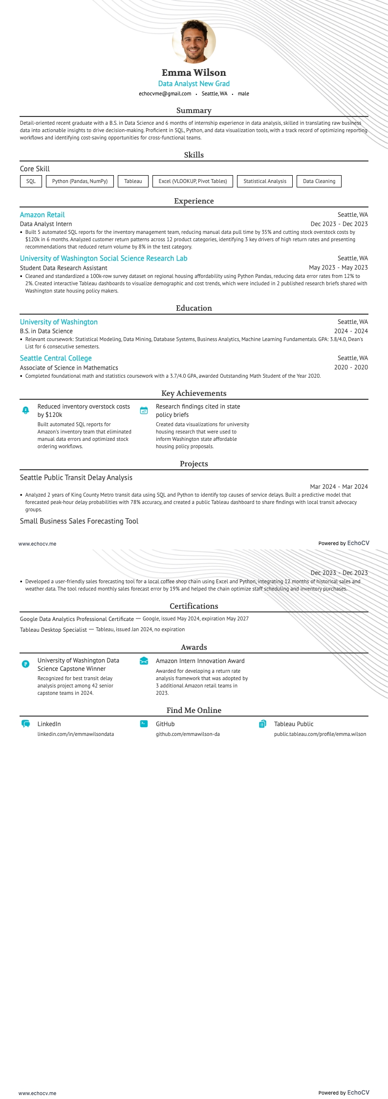 應屆畢業生資料分析師 example resume
