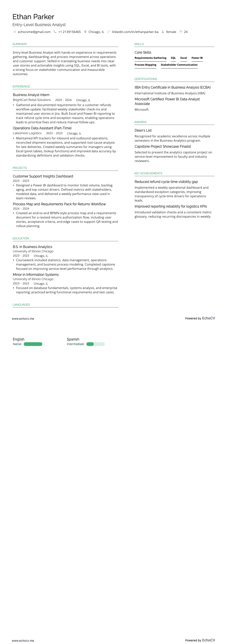 신입 비즈니스 애널리스트 example resume