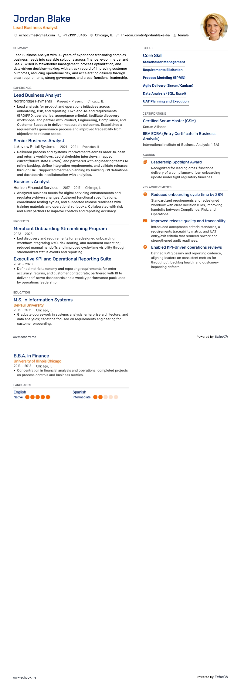 수석 비즈니스 애널리스트 전체 미리보기