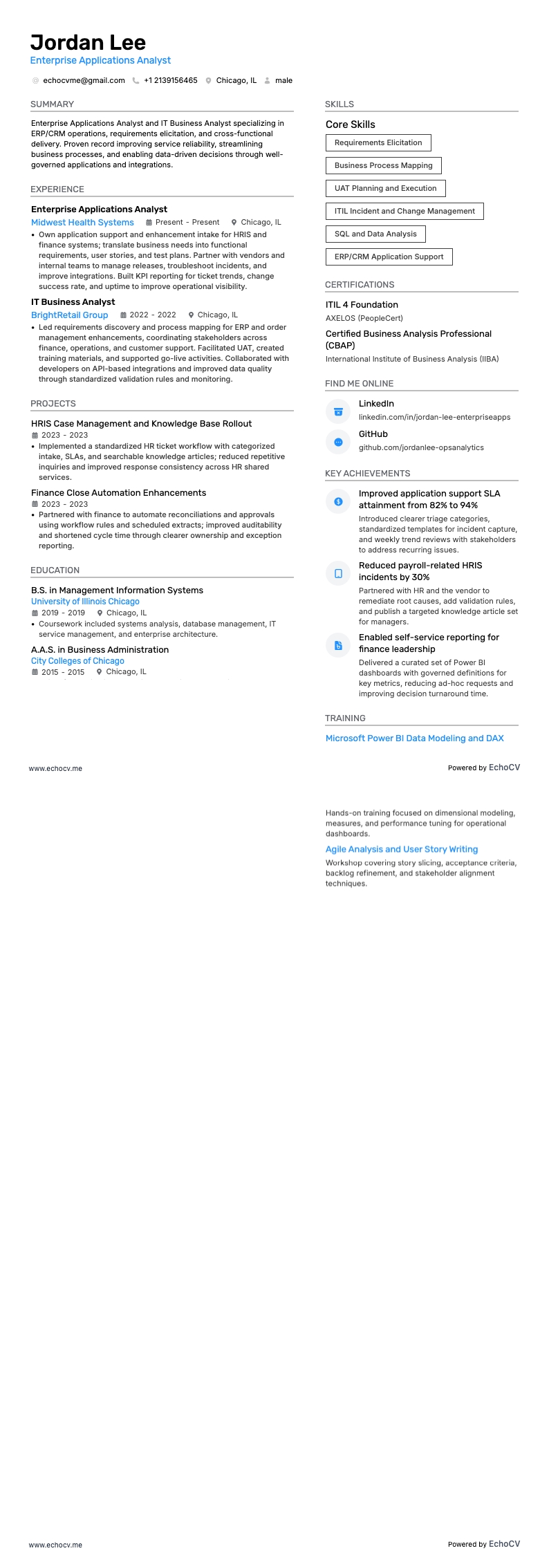 Analista delle applicazioni aziendali example resume