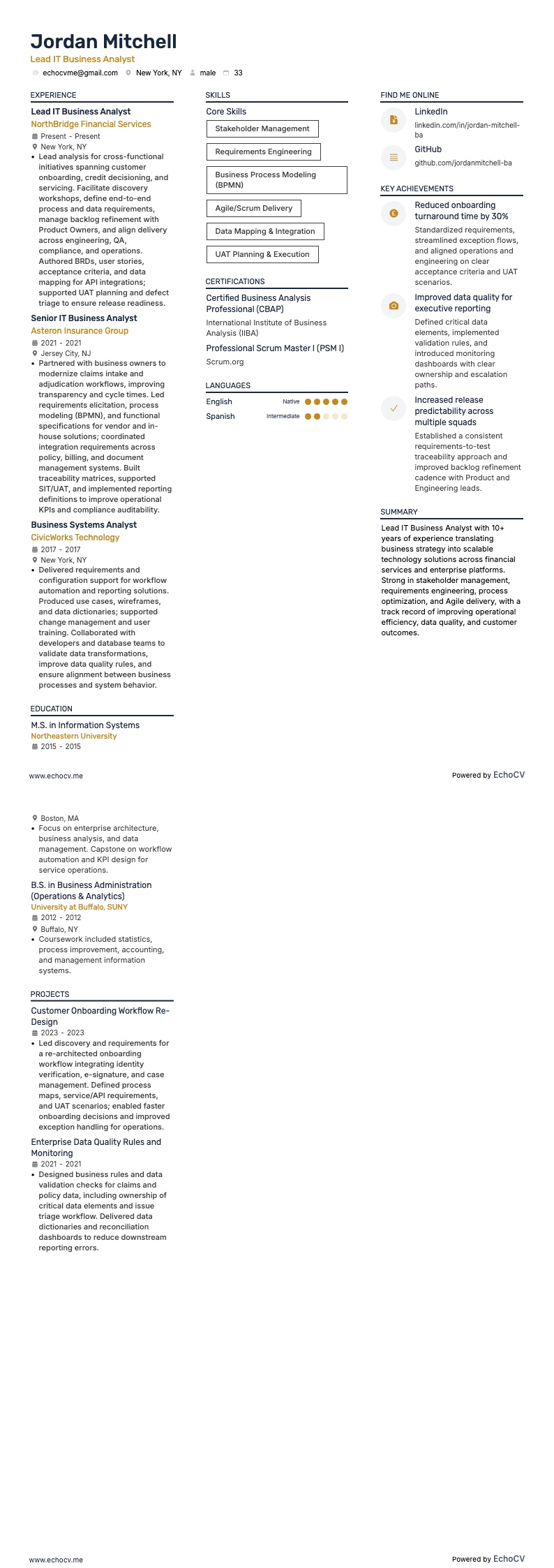 Anteprima completa di Analista di business IT senior