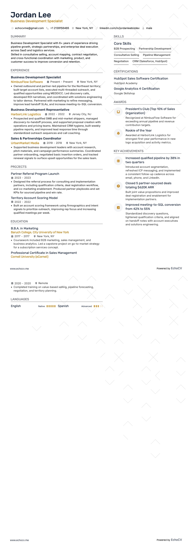 사업 개발 전문가 resume example