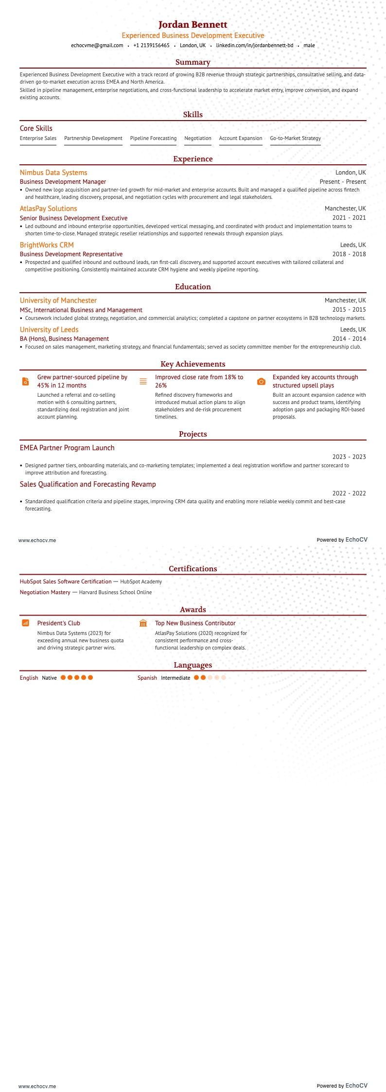 Ervaren Business Development Executive example resume
