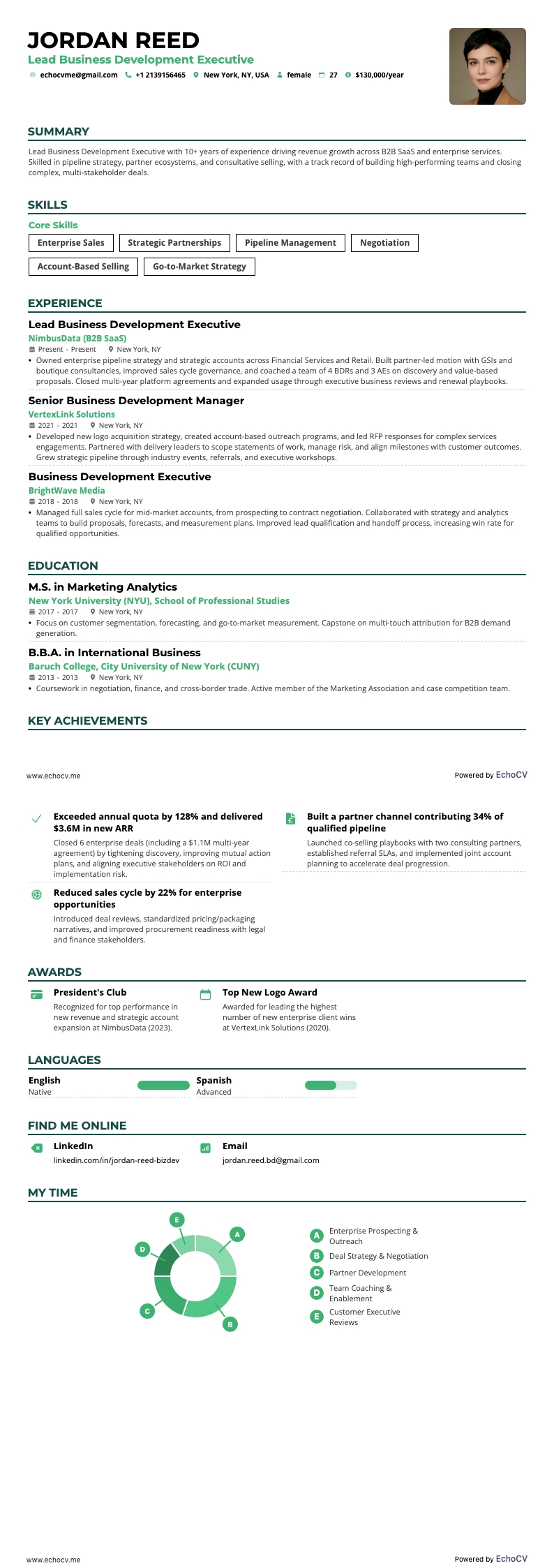 Lead businessdevelopment executive example resume