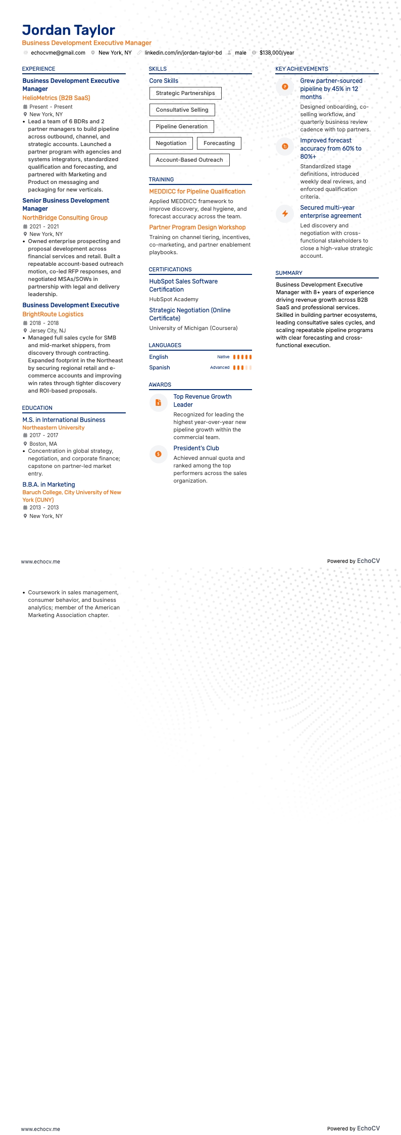 Business Development Executive resume example