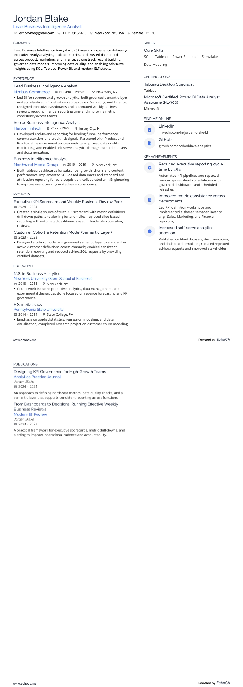 ビジネスインテリジェンスアナリスト resume example