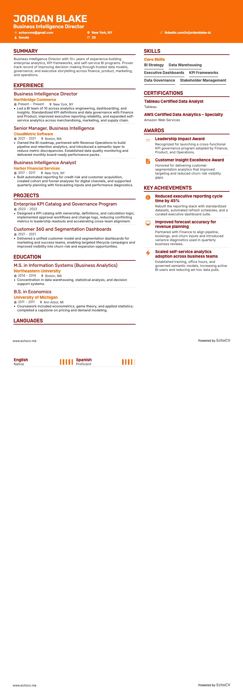 Giám đốc BI example resume