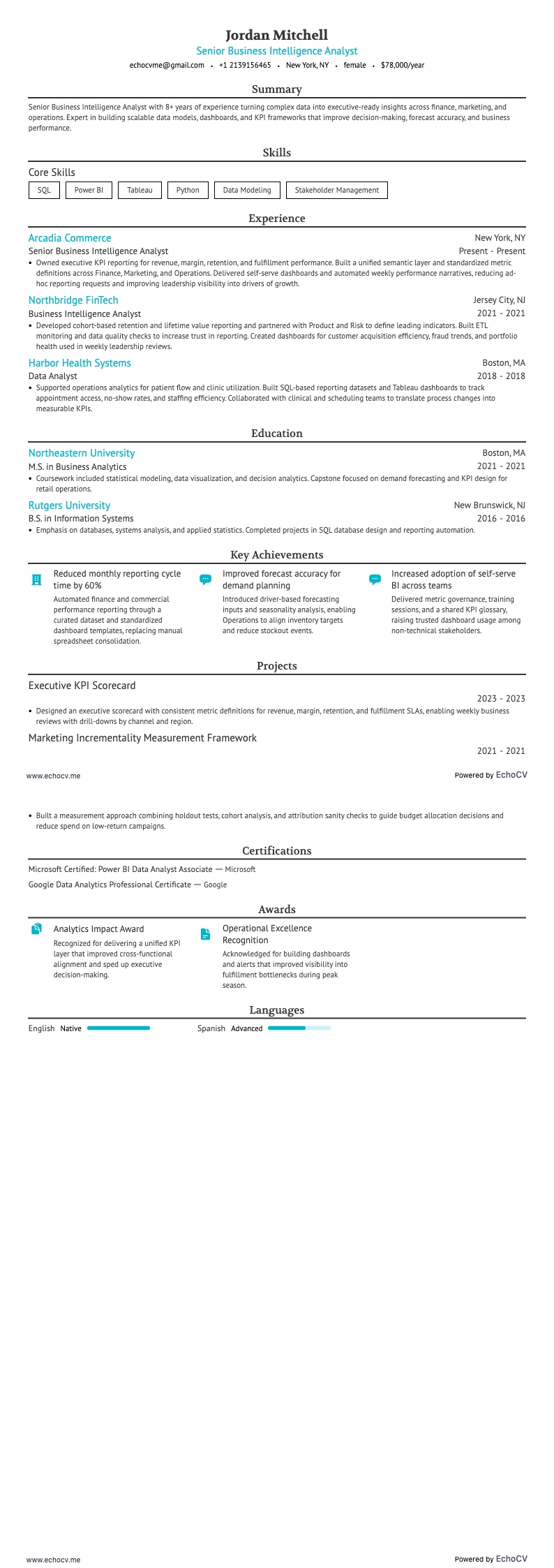 Giám đốc Business Intelligence resume example