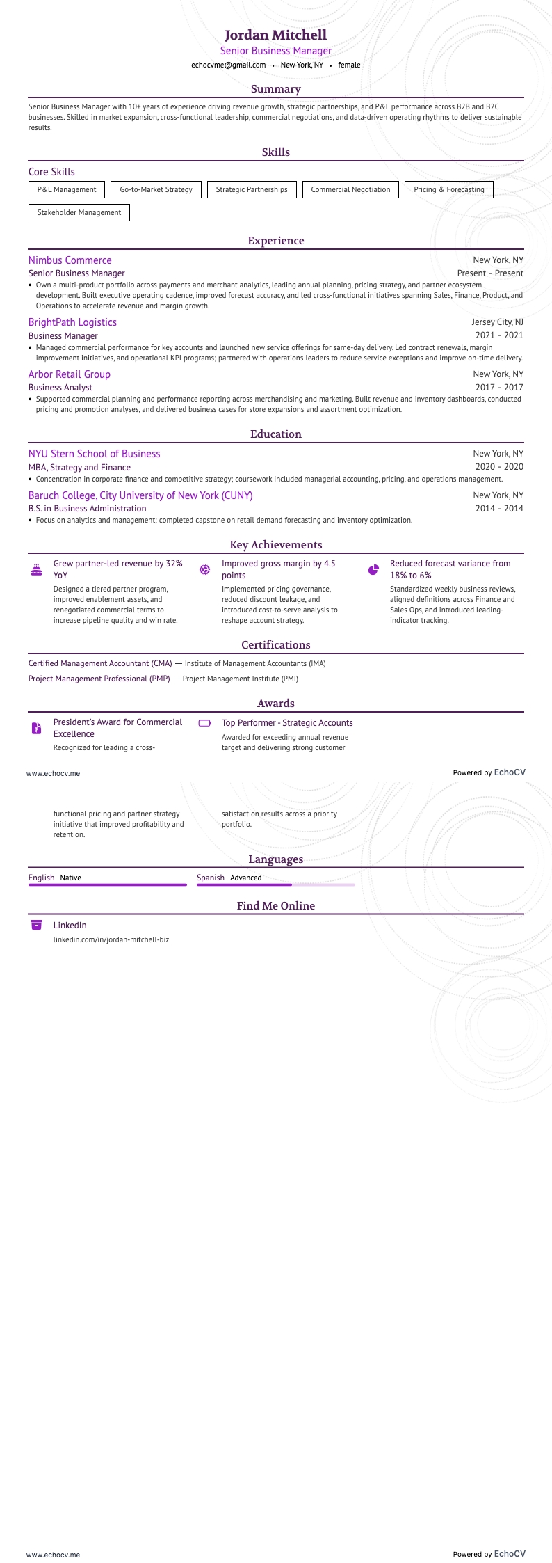 Quản lý Kinh doanh Cấp cao resume example