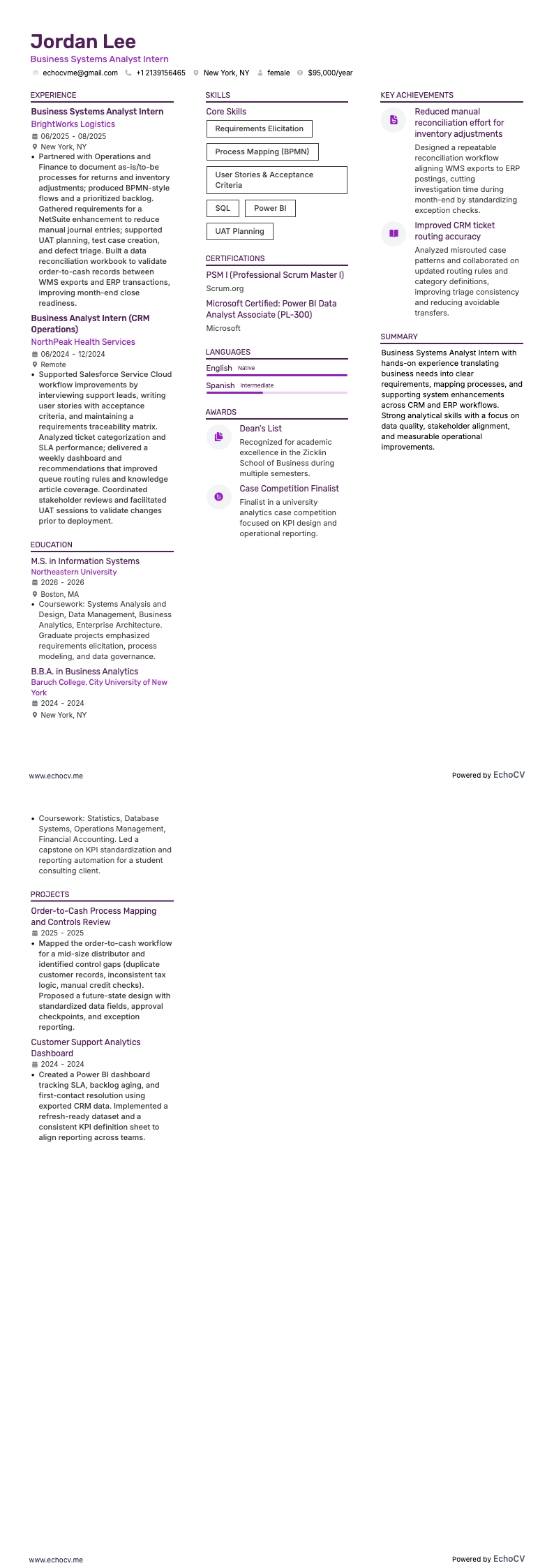 Business Systems Analyst Intern example resume