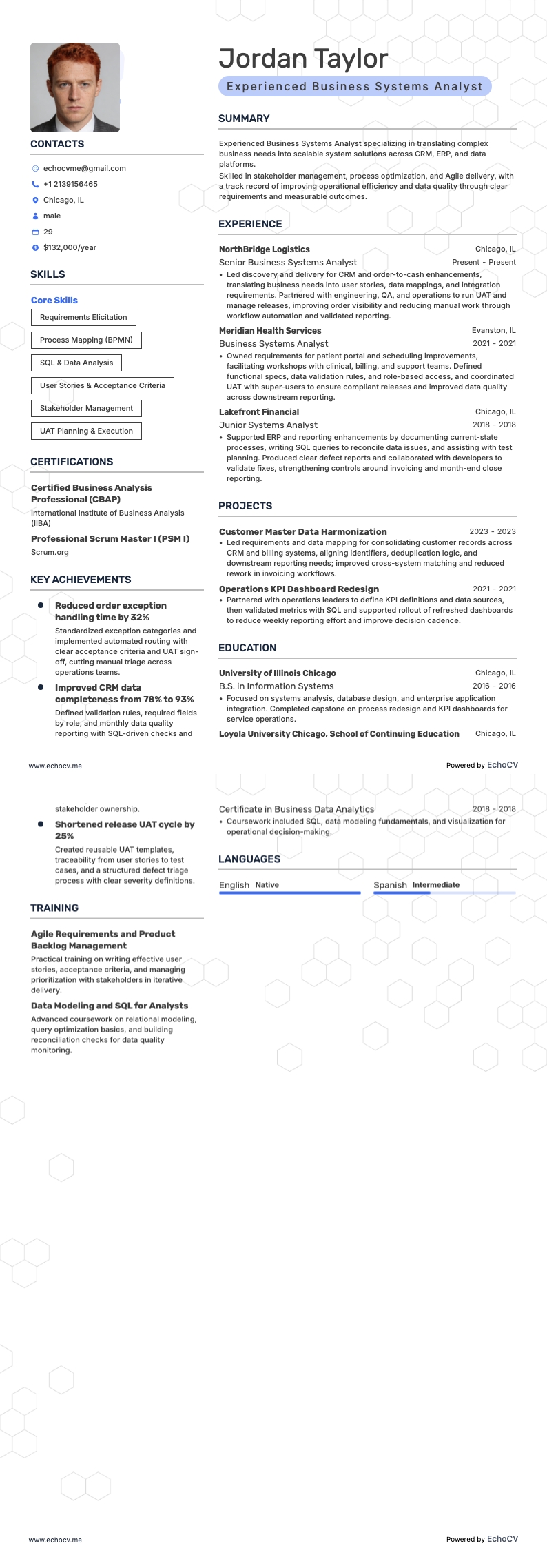 Experienced Business Systems Analyst full preview