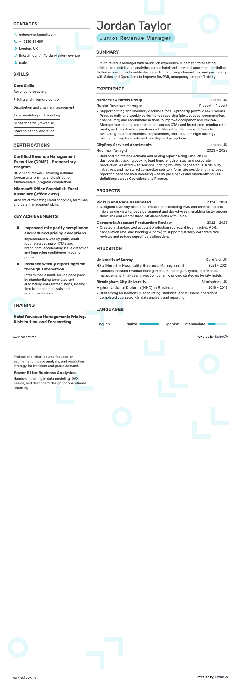 Revenue Manager resume example