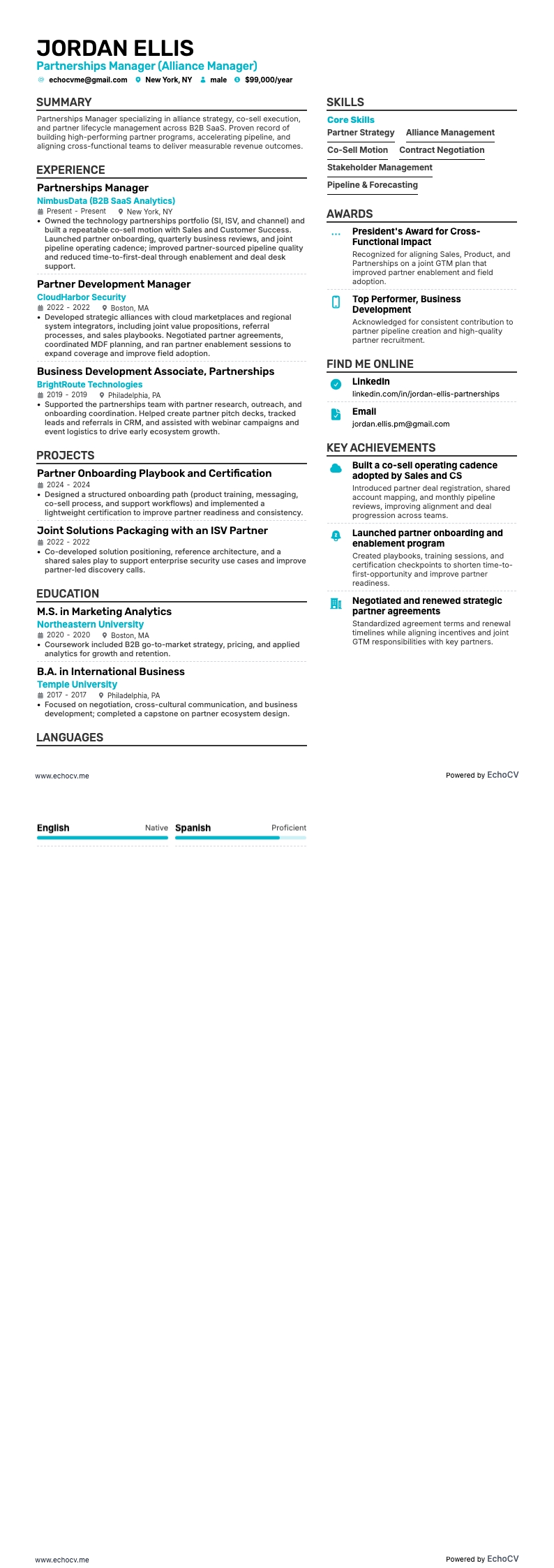 Gerente de Alianzas example resume