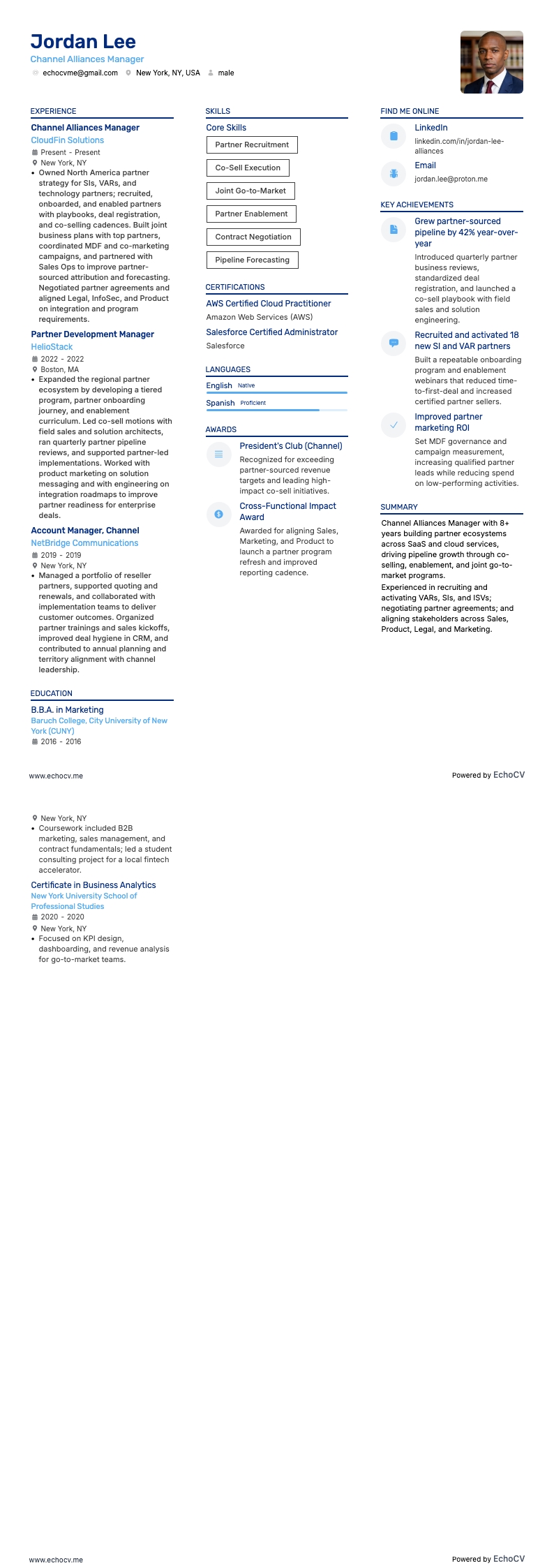 Chef för kanalallianser resume example