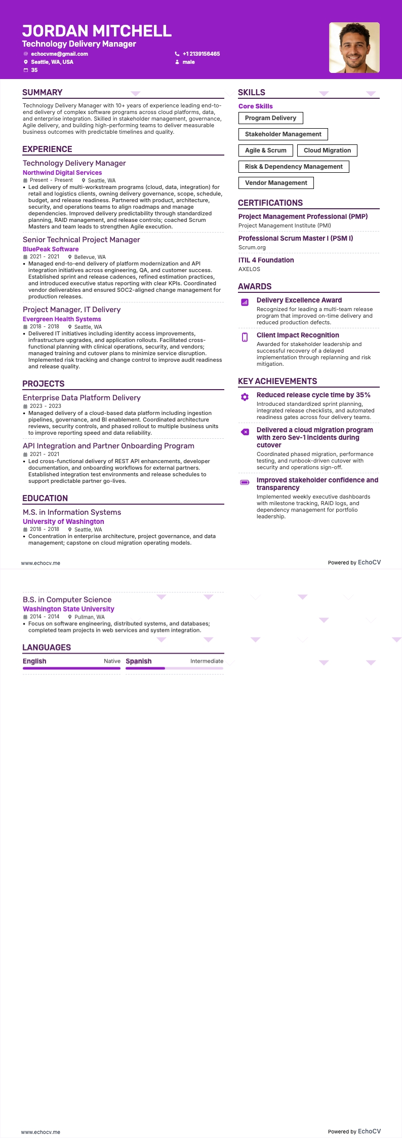 Manager Technologielevering example resume